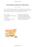 The Bergdorf Goodman Cookbook