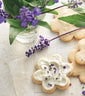 Betty Crocker Cookies: Irresistibly Easy Recipes for Any Occasion