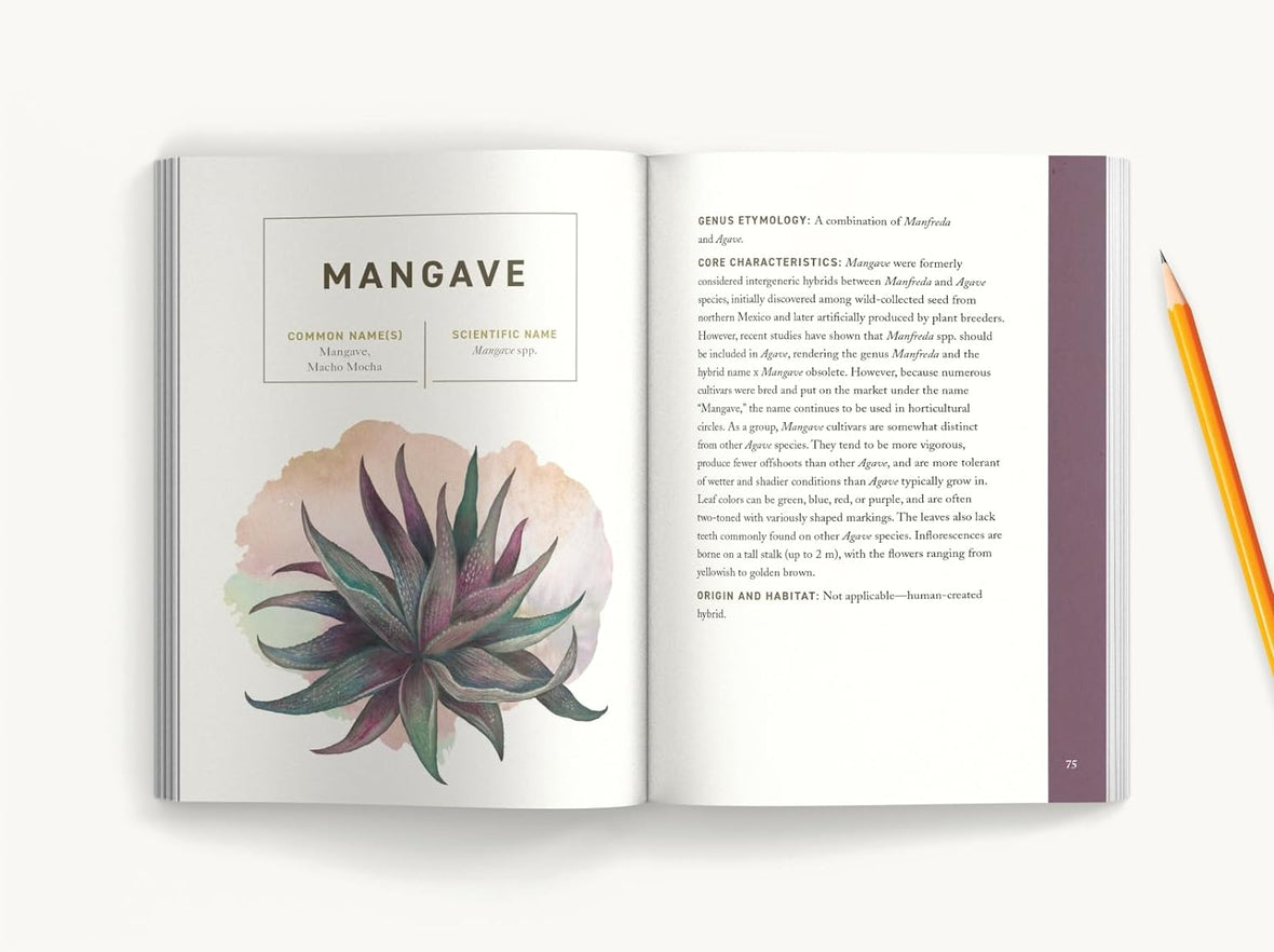 Succulents: An Illustrated Field Guide