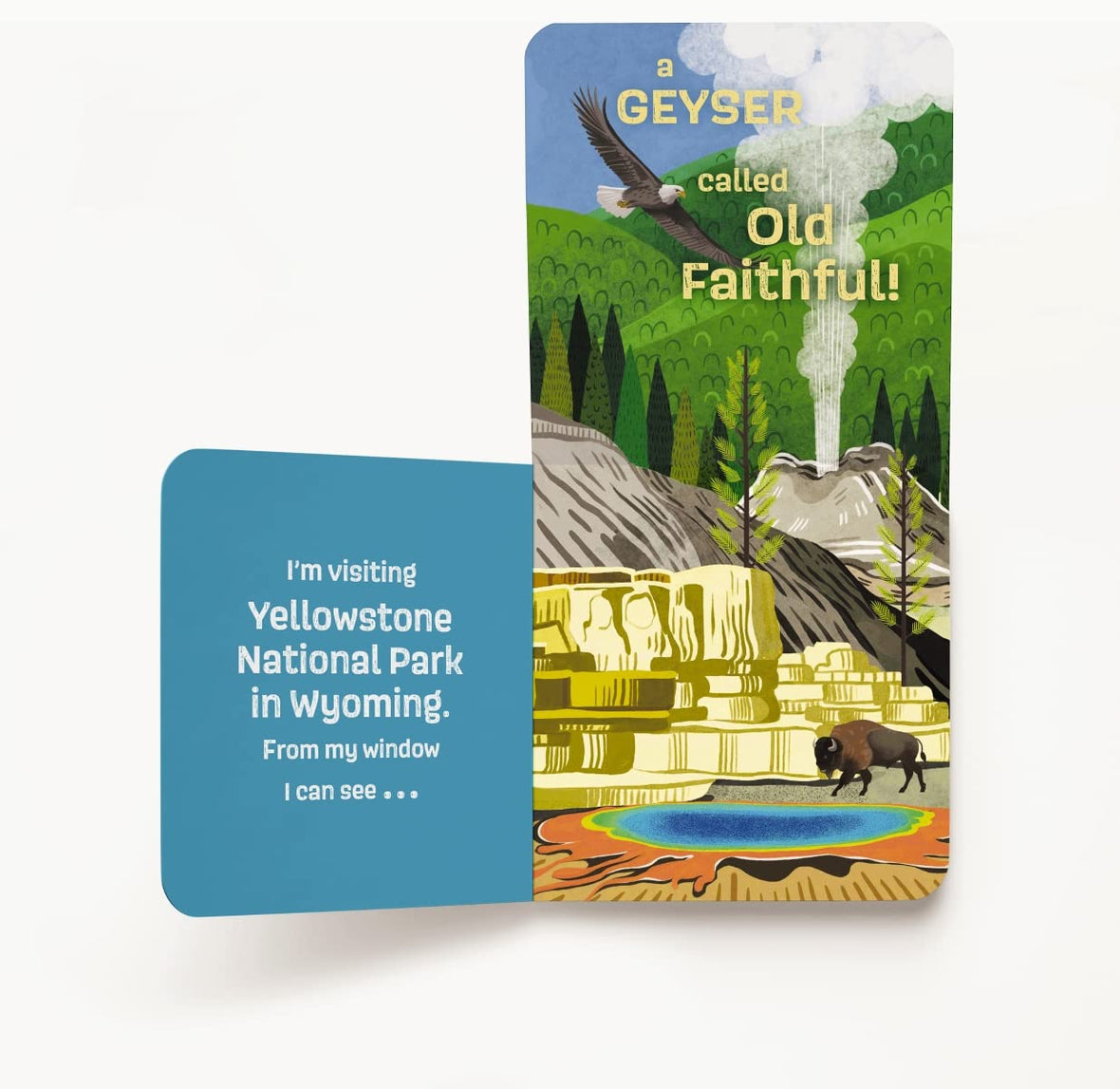 Windows to the National Parks: A Lift-the-Flap Board Book of North American National Parks