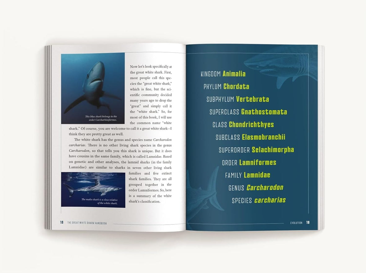 The Great White Shark Handbook: The Definitive Guide to the Most Extraordinary Shark in the Sea