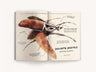 The Ultimate Bug Field Guide: The Entomologist's Handbook