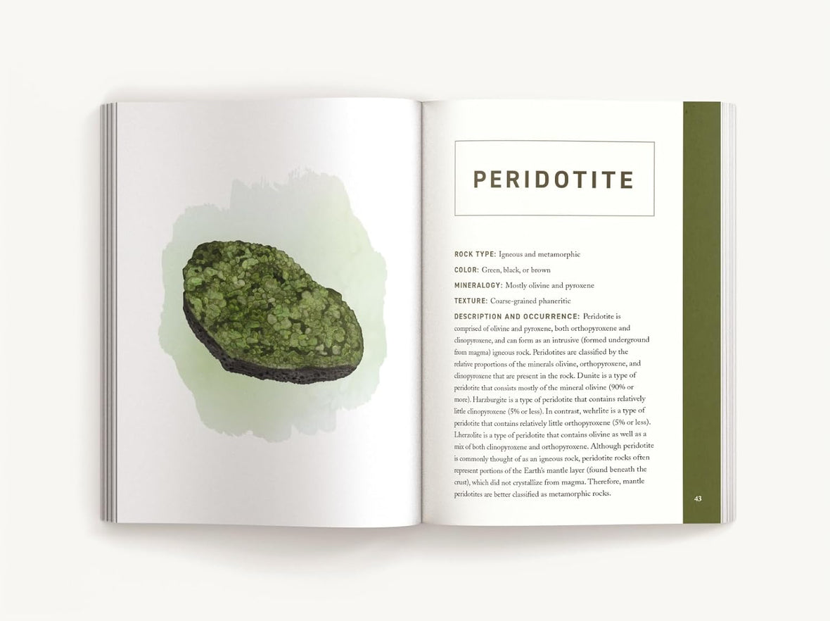 Ql Rocks Rocks & Minerals: An Illustrated Field Guide – The Foyer Store
