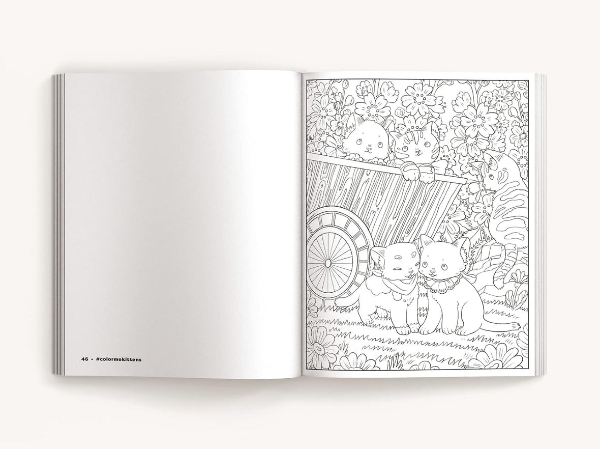 Color Me Kittens: A Purr-fect Adult Coloring Book