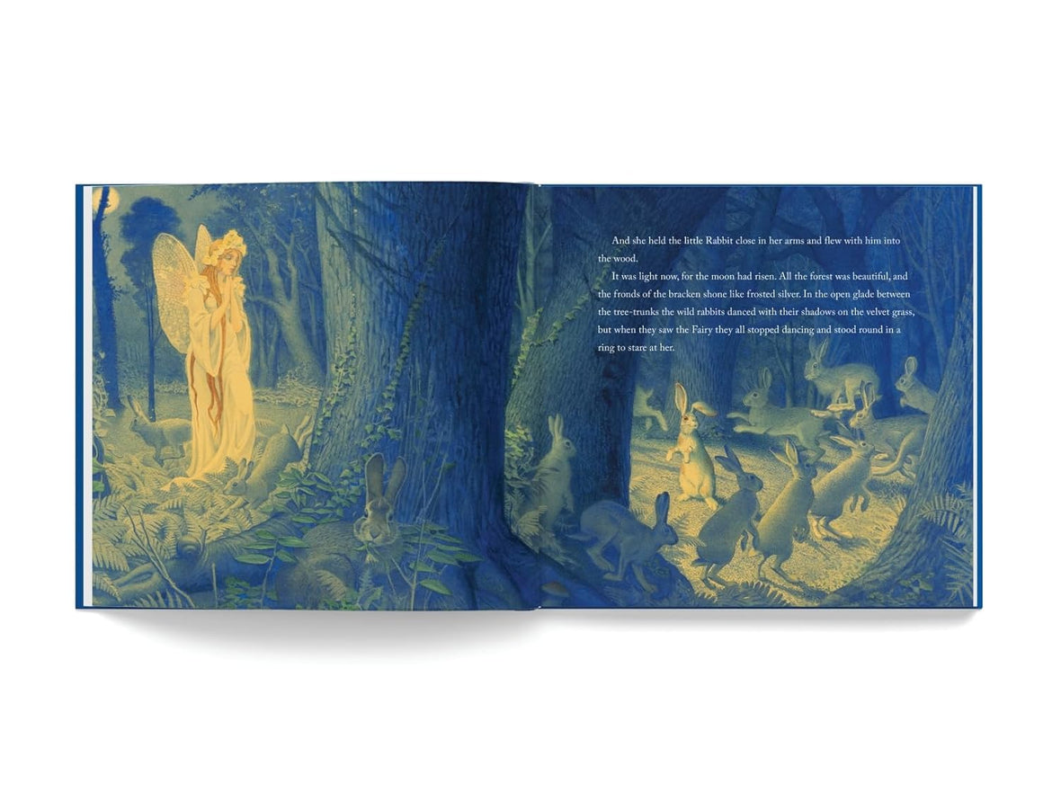 The Velveteen Rabbit: The Collectible Leather Edition