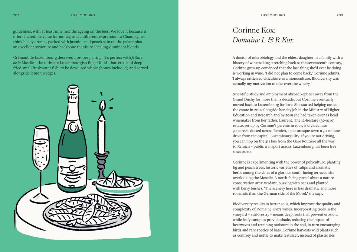 Drinking the World: A Wine Odyssey