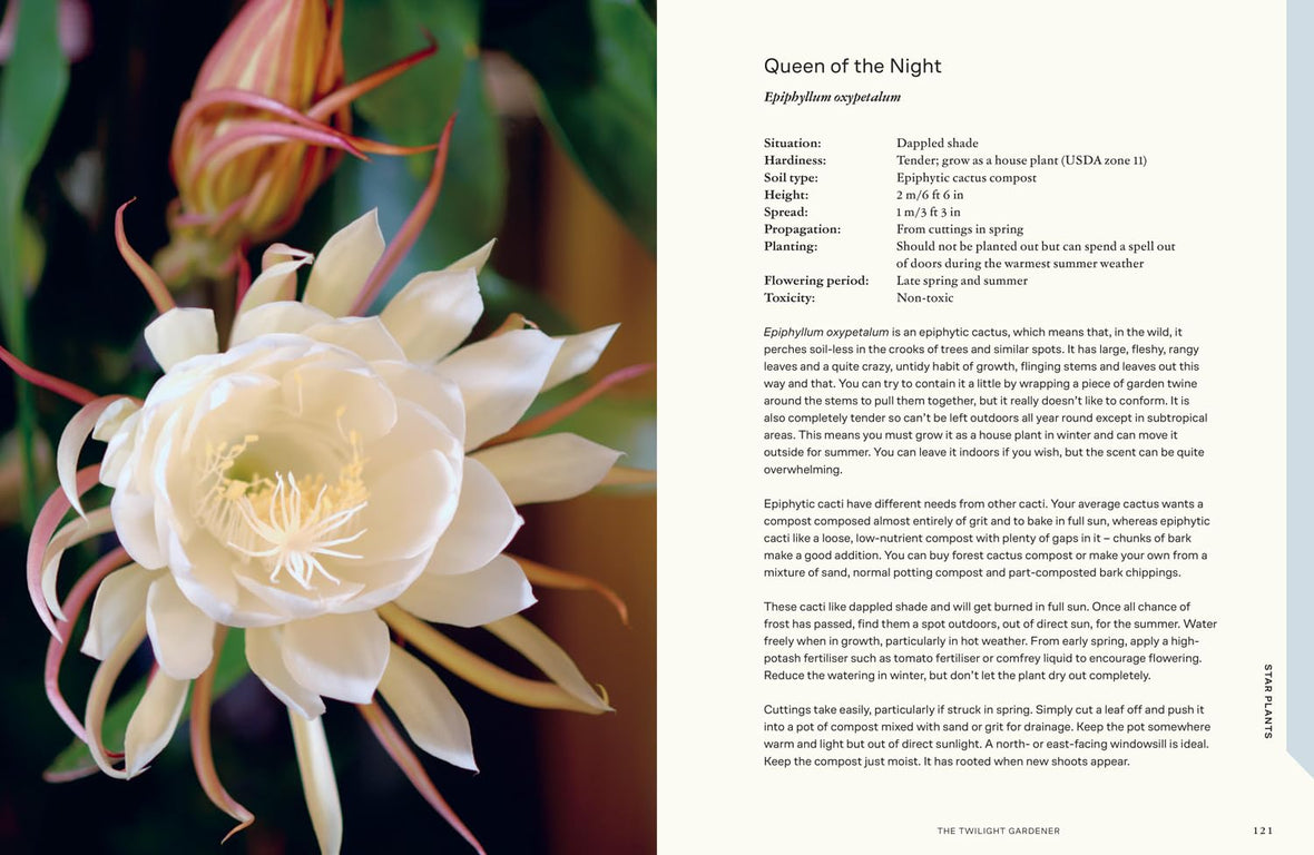 The Twilight Gardener