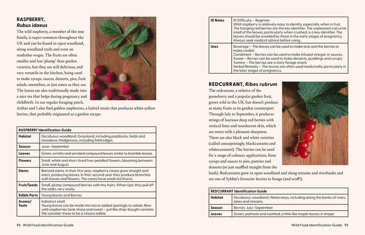 The Grizzly Forager's Guide to Family Foraging: Embrace Nature, Find Food and Discover Your Wild Side!