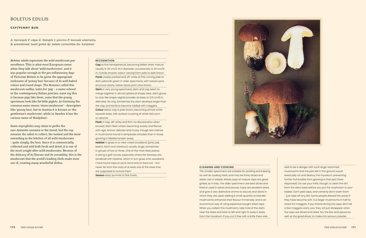 A Passion for Mushrooms