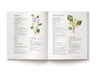 The Essential Home Apothecary Handbook: Herbal Remedies to Know, Grow, Make, and Use