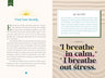 In My Calm Era: 90 Days to Organize Your Emotions, Stress Less, and Connect Back to You