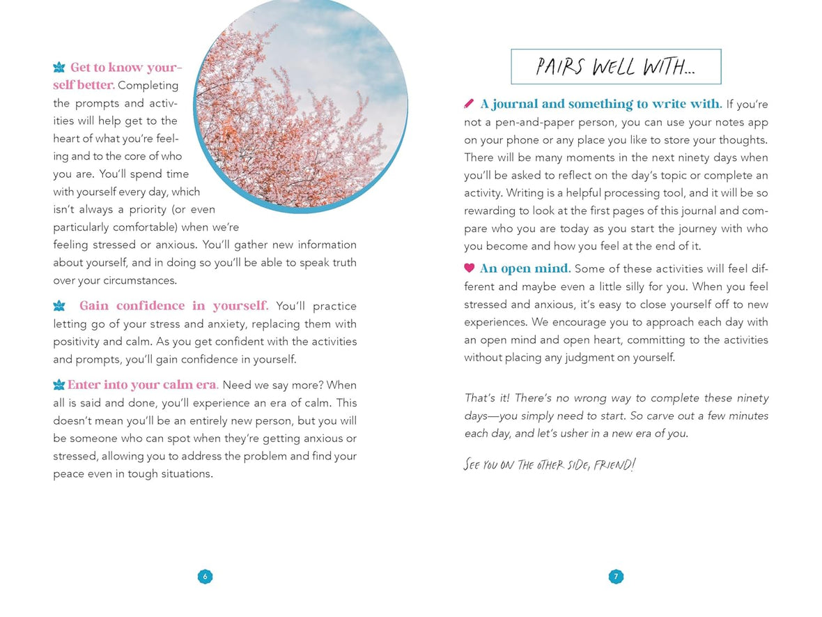 In My Calm Era: 90 Days to Organize Your Emotions, Stress Less, and Connect Back to You