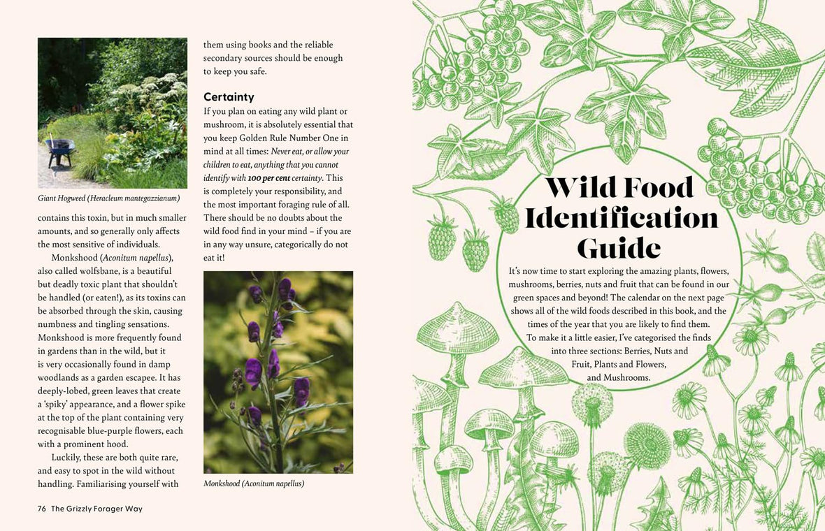 The Grizzly Forager's Guide to Family Foraging: Embrace Nature, Find Food and Discover Your Wild Side!