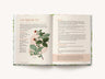 Nature's Medicine Cabinet: Seasonal Recipes & Remedies for a Year of Botanical Wellness