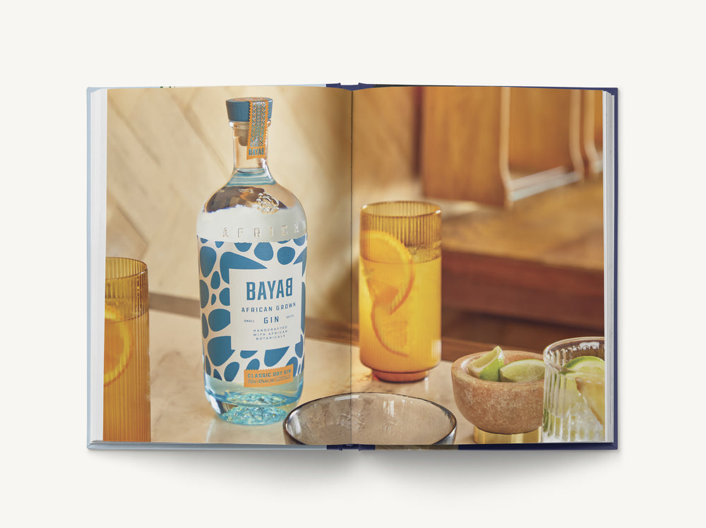 Big Gin: The Rebirth of One of the World’s Oldest Spirits (The History and Craft of Gin)