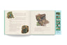 The Classic Tale of Peter Rabbit: A Press & Play Storybook