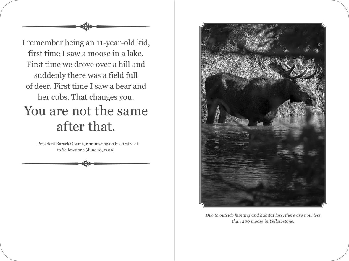 The Yellowstone National Park Signature Notebook: An Inspiring Notebook for Curious Minds