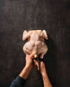 Come Eat: 100 Nourishing Recipes to Eat Every Day